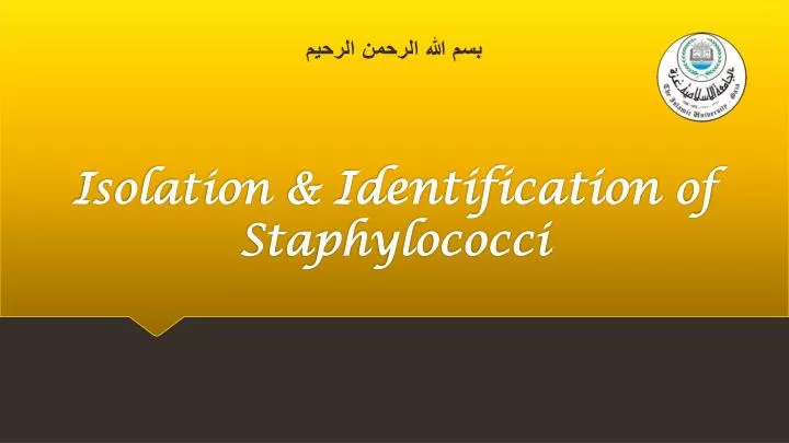 isolation identification of staphylococci