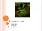 Cytoskeleton - slide 1