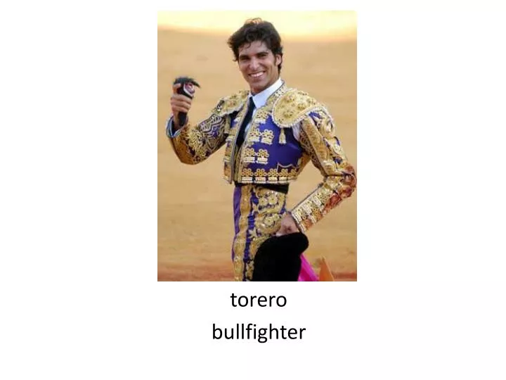 torero bullfighter