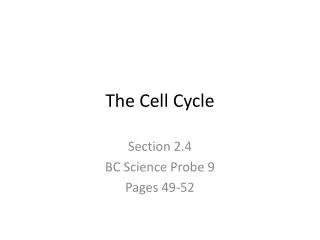 the cell cycle