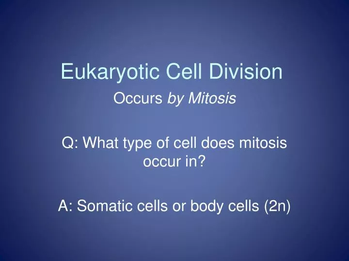 eukaryotic cell division
