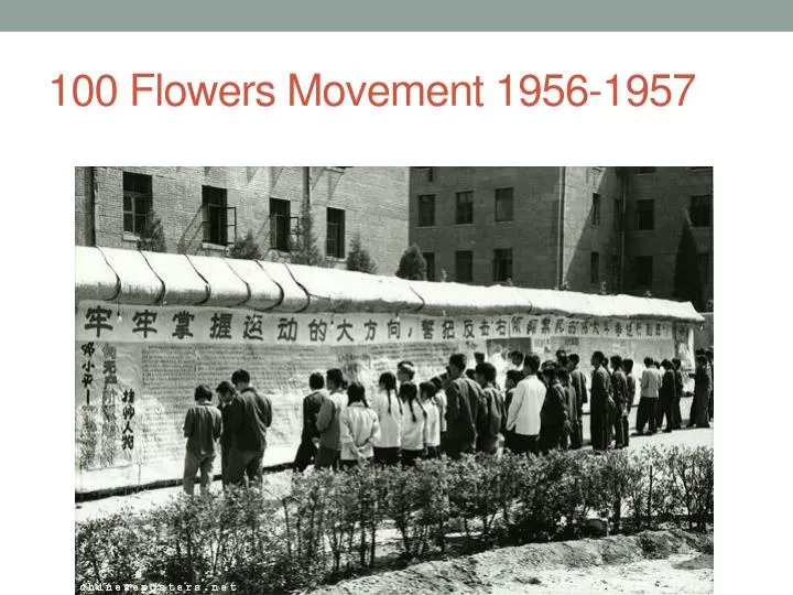 100 flowers movement 1956 1957