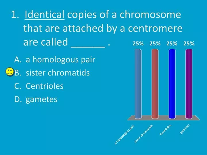 1 identical copies of a chromosome that are attached by a centromere are called