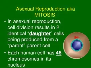 Asexual Reproduction aka MITOSIS!