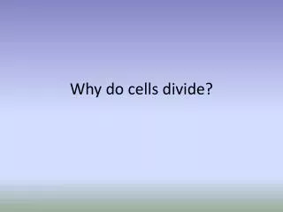 Why do cells divide?
