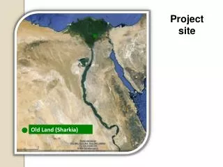 Old Land ( Sharkia )