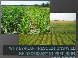 Why by-plant resolutions will be necessary in precision agriculture