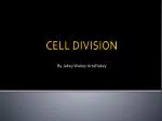 CELL DIVISION - slide 1