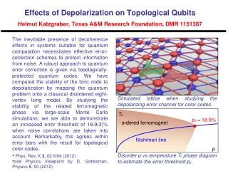 Simulated lattice when studying the depolarizing error channel for color codes.