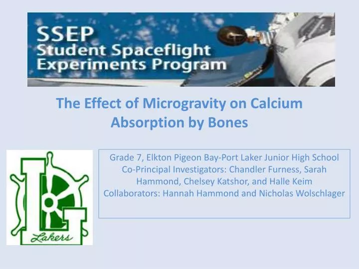 the effect of microgravity on calcium absorption by bones