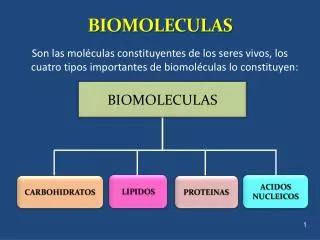 biomoleculas