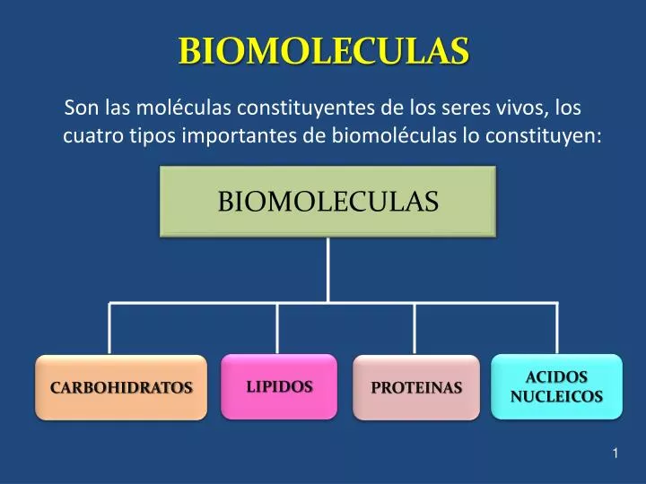 biomoleculas