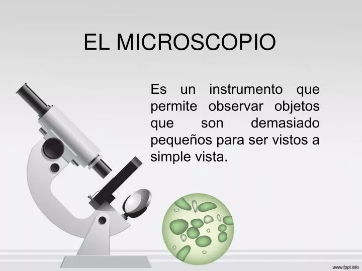 el microscopio
