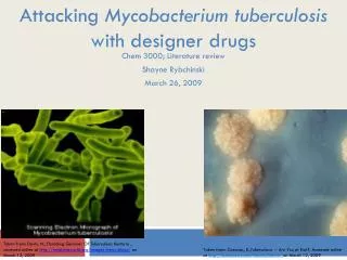Attacking Mycobacterium tuberculosis with designer drugs