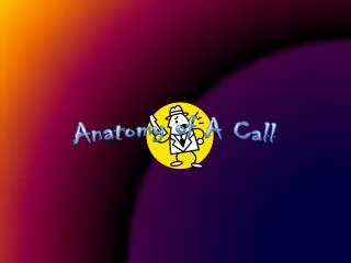 Anatomy of A Call