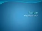 Fungos - slide 1