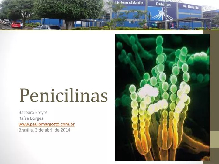 penicilinas