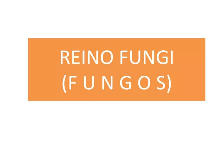 reino fungi f u n g o s