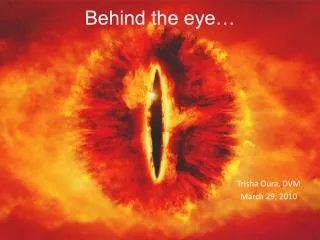 Behind the eye…
