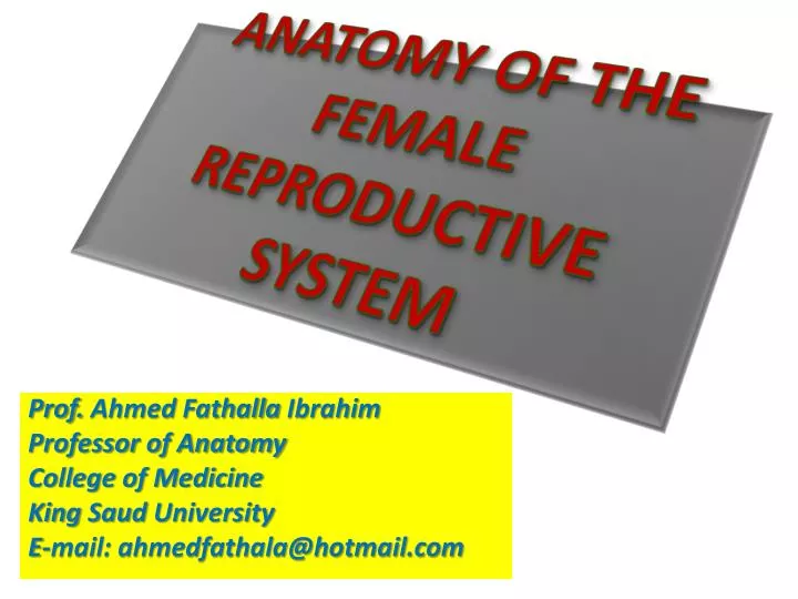 anatomy of the female reproductive system