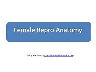 Female Repro Anatomy