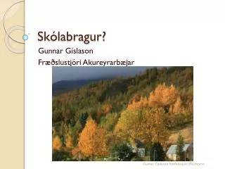 sk labragur