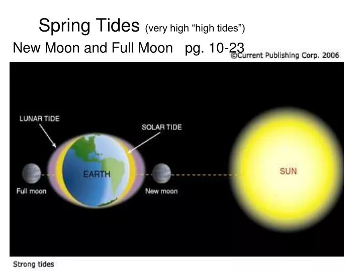 spring tides very high high tides new moon and full moon pg 10 23