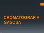 CROMATOGRAFIA GASOSA - slide 1