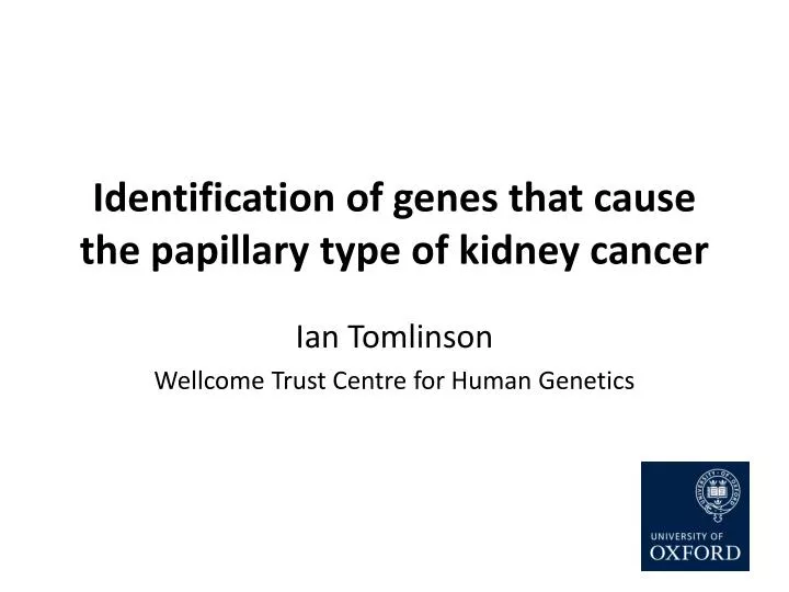identification of genes that cause the papillary type of kidney cancer