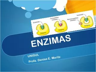 enzimas