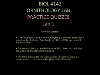 O BIOL 4142 ORNITHOLOGY LAB PRACTICE QUIZZES Lab 1