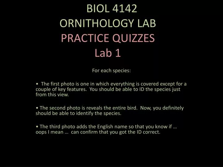 o biol 4142 ornithology lab practice quizzes lab 1