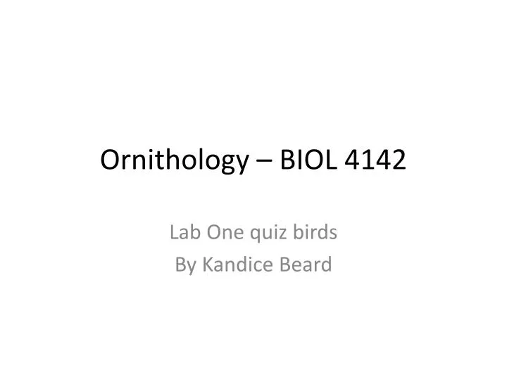 o rnithology biol 4142