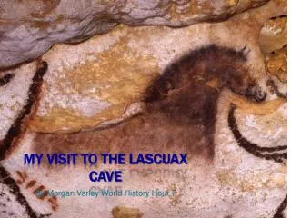 My Visit to the lascuax cave