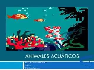 animales acu ticos