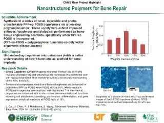 Nanostructured Polymers for Bone Repair