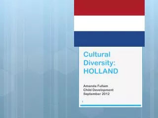 Cultural Diversity: HOLLAND