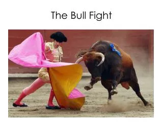 The Bull Fight