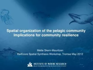 Spatial organization of the pelagic community Implications for community resilience