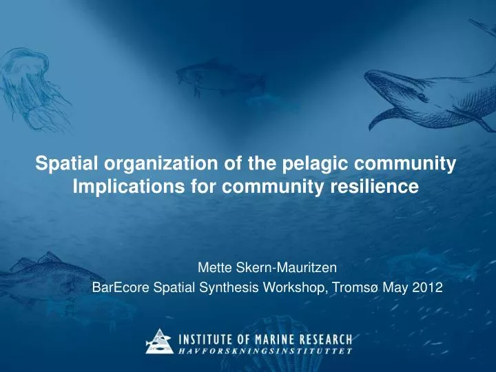 spatial organization of the pelagic community implications for community resilience