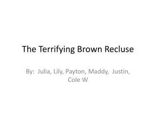 The Terrifying Brown Recluse