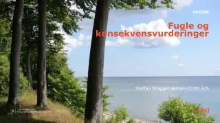 fugle og konsekvensvurderinger