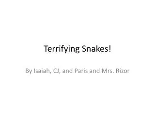 Terrifying Snakes!