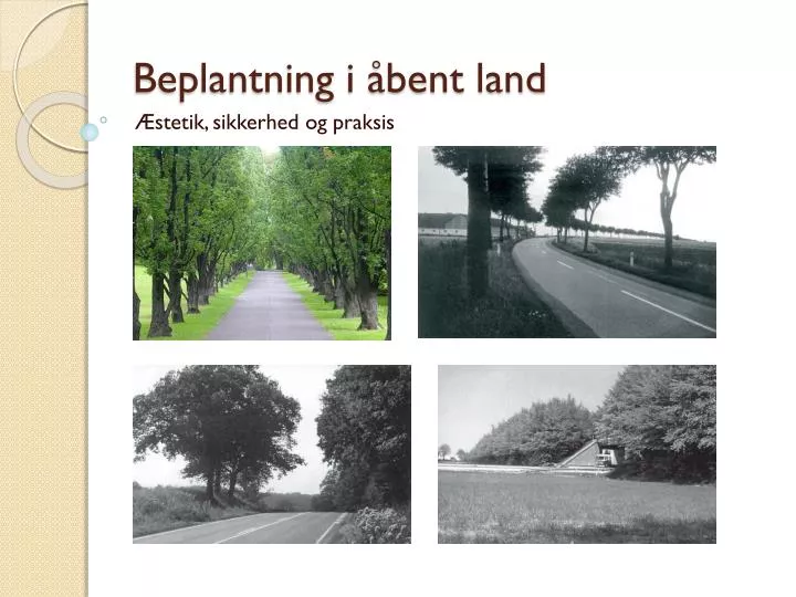 beplantning i bent land