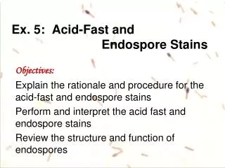 Ex. 5: Acid-Fast and Endospore Stains