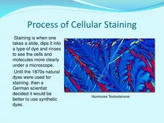 Process of Cellular Staining