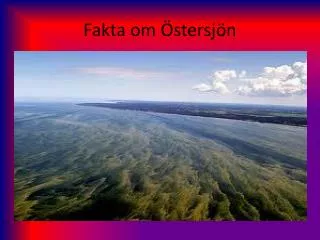 fakta om stersj n