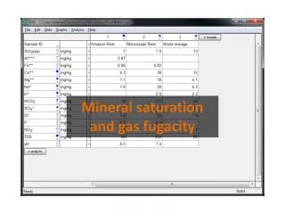 Mineral saturation and gas fugacity