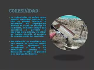 cohesividad