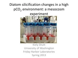 Diatom silicification changes in a high pCO 2 environment: a mesocosm experiment
